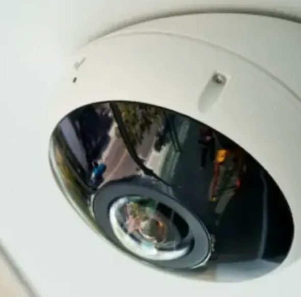 Fisheye or Multi-imager: Which one is better for you?