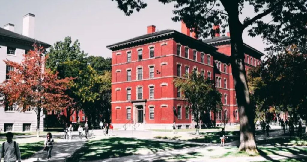 How Camera Systems Can Improve School Safety?